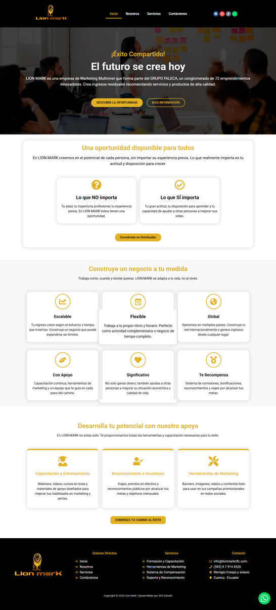 Desarrollo de páginas webs | Portafolio | Cliente: Lion Mark